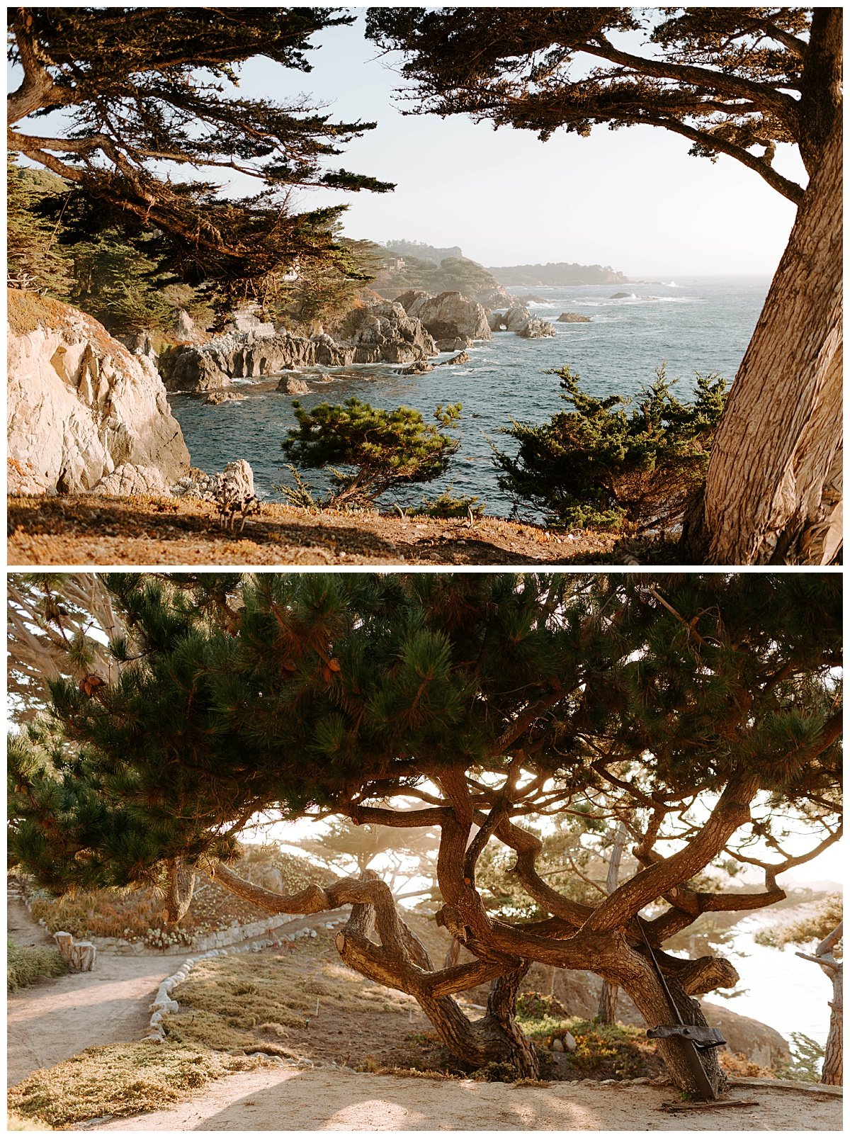 downtown Carmel Elopement