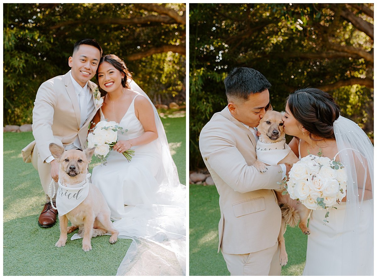 bride and groom with dog winter wedding at the botanica wedding trademark venue in oceanside